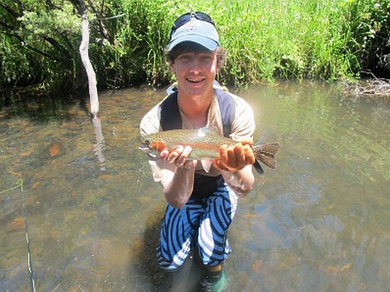 REPORT: Fishing Ebor – A boy’s trouting adventure